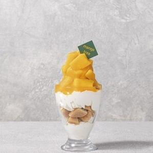 Mango Parfait