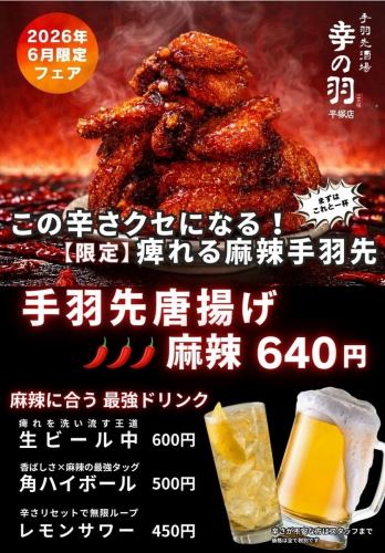 【6月限定】手羽先唐揚げ麻辣
