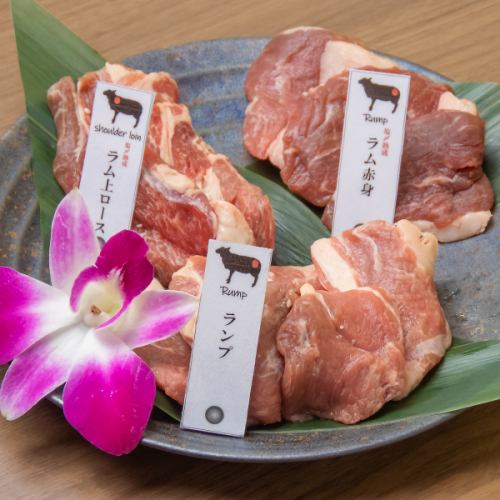 赤の杜