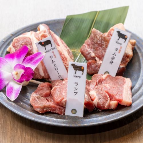 【初めての方におすすめ】赤の杜