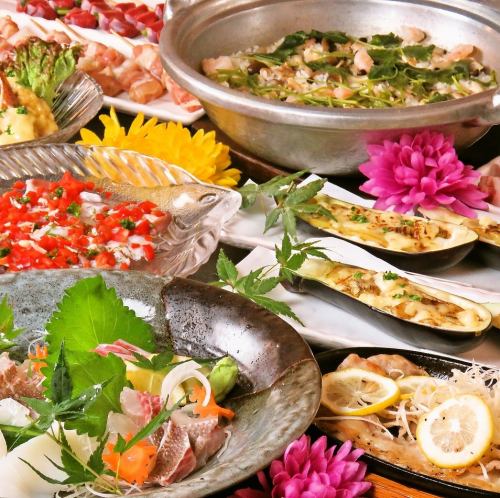 地鶏や魚が楽しめるコースもご用意♪