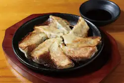 博多ひとくち 漢餃子