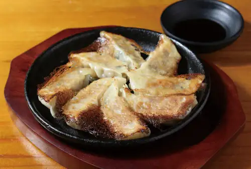 博多ひとくち 漢餃子