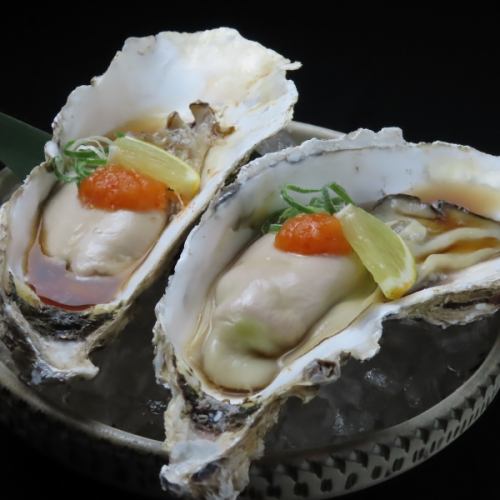 国産の絶品牡蠣を堪能!