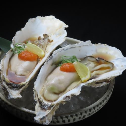 本日の生牡蠣