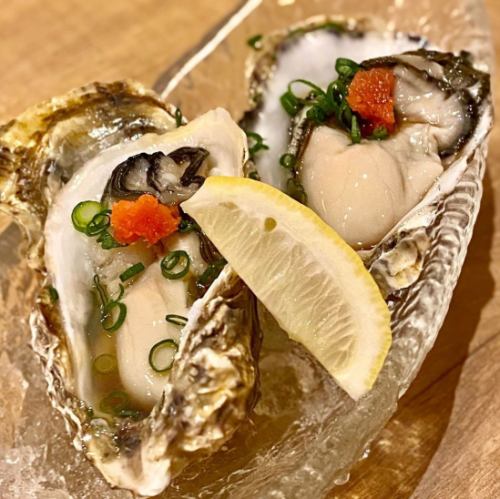 全国のブランド牡蠣 今月は!!篠島産 虎丸ガキ 1個