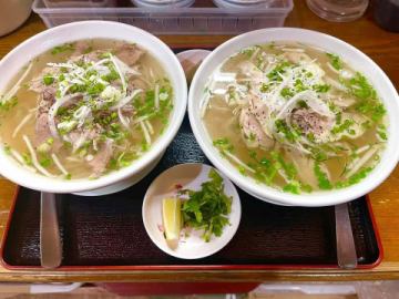 🌿 LỜI XIN 