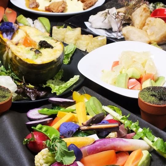 【歓送迎会コース】菜縁人気メニューが楽しめる!かぼちゃグラタン等全11品5000円…2.5H飲み放題