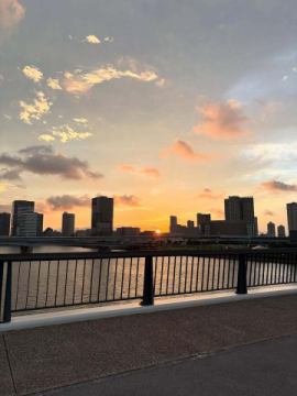 豊洲市場
気持ちいい