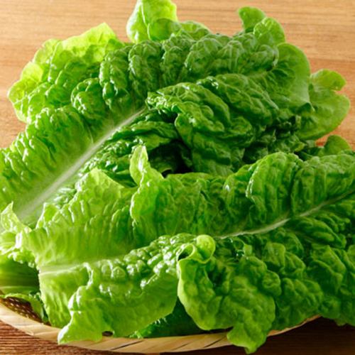 [Topping] lettuce