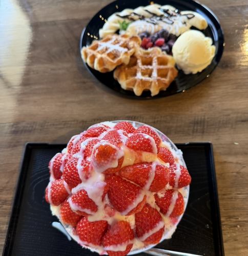 대만풍 빙수
