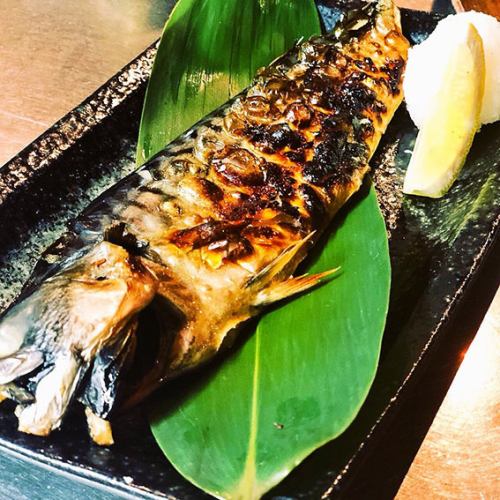 Namara mackerel (half) from Koshida Shoten