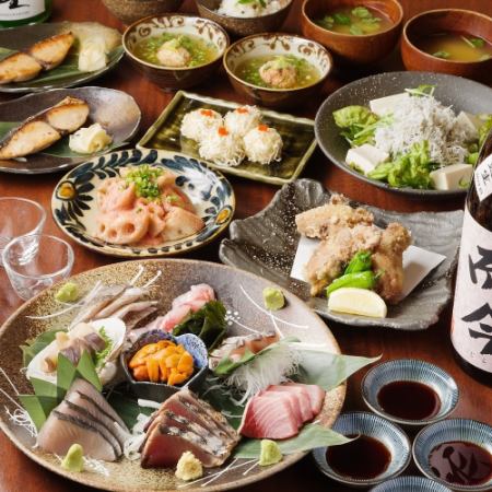3/1スタート 魚好きに必見 刺身盛や季節の料理が味わえる全8品のコース!