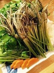 11月5日からセリ鍋始めます【せり鍋&飲み放題付2時間コース】新年会・各種宴会に