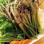 11月5日からセリ鍋始めます【せり鍋&飲み放題付　2時間コース】新年会・各種宴会に