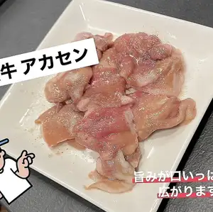 운용 한계