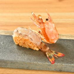 有頭 ぼたん海老