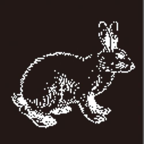 新宿肉バル パンとサーカス 公式