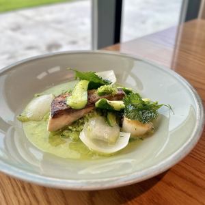 Pan-fried Spanish mackerel and scallops with cucumber sauce + seasonal amuse-bouche ★ Includes salad and soup bar