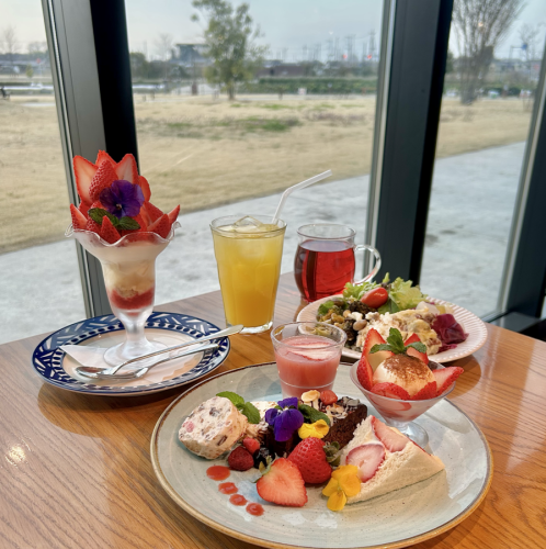 【平日】選べるスイーツセット（サラダバー）