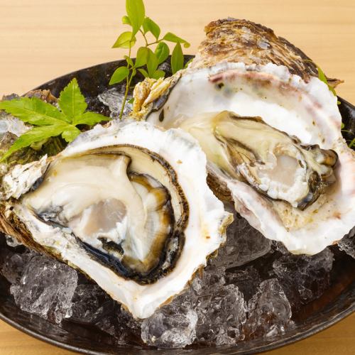 천연 바위 굴