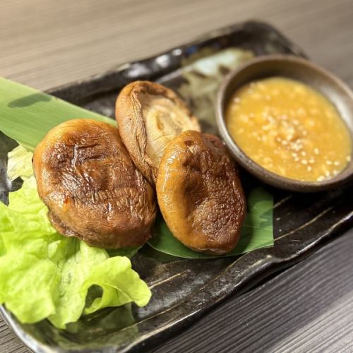 生長在原木上的香菇