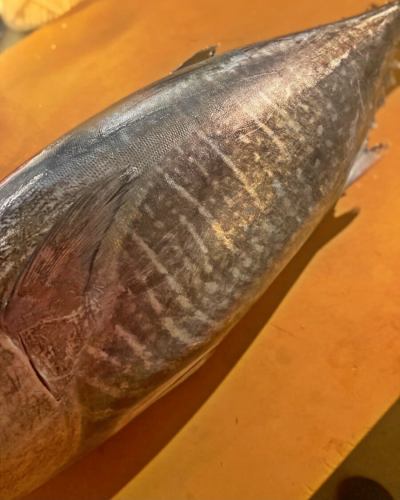 Yellowfin tuna, also known as yokowa (horizontal ring) in the Kansai region. As the name suggests, it has a clear pattern. The fish is said to have horizontal stripes because the length and width of the pattern are determined with its head up. Confit and wrap in pie. For reservations, please click the Hot Pepper link in our profile. @nuages_yosidamachi But I'm bored, or maybe it smells dangerous. Well, it can only be. #YokohamaFrench #KannaiGourmet #Yokowa #YokofinTuna
