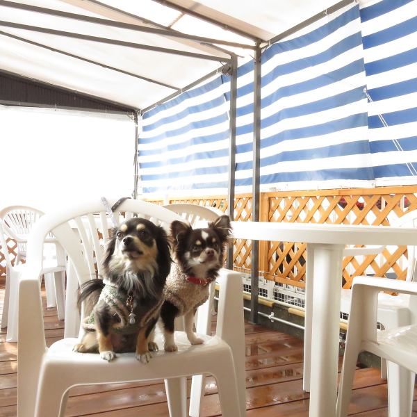 ≪テラス/テーブル/ペット同伴可能/喫煙可能≫ ペット同伴可能でペットとも一緒にお客様の貴重なお時間を楽しめます◎当店のテラス席は4名テーブルを5卓完備！広々としたスペースで食事を楽しめ、友人や家族みんなで一緒に特別なひとときを過ごせます。家族連れやペット連れのお客様にとっても嬉しいポイントです♪