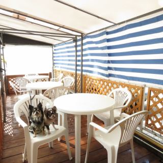 ≪貸切可能◎≫ テラス席は最大20名まで