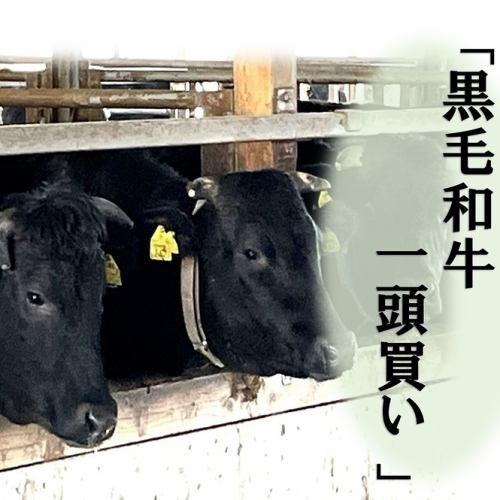 黒毛和牛一頭買い