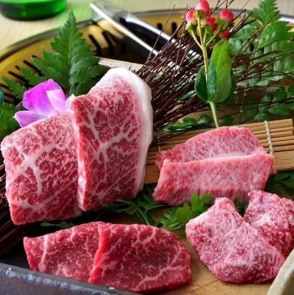 Proud of carefully selected domestic beef from Kyotanba