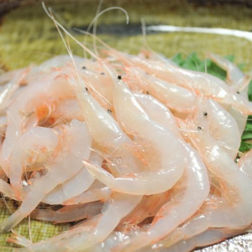 【호쿠리쿠 산의 엄선 재료】 추천 일품! 화이트 새우의 생선회