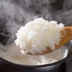 ごはん大盛