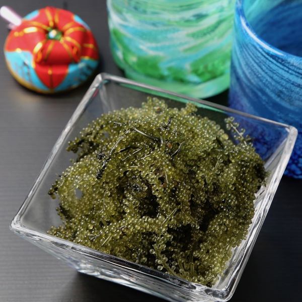 【海ぶどう】「グリーンキャビア」とも称される美味しい海藻