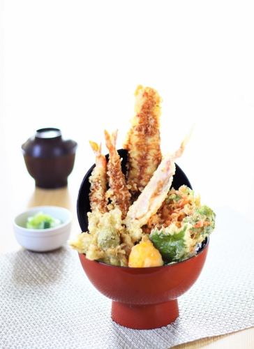 Spring Oedo Tendon