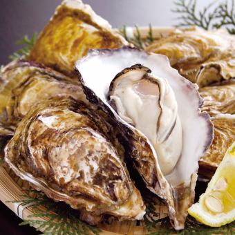 ■2H飲み放題『牡蠣尽くしコース』産地日替わりの牡蠣食べ放題をご堪能〈全5品〉5500円⇒4500円