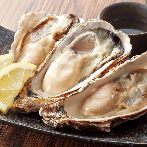 【生・蒸し多様な食べ方で♪】築地直送の旬の牡蠣を心ゆくまで堪能!!食べ放題コースもご用意あります!!!