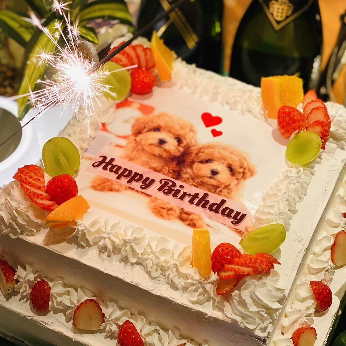 Cakes with photos, original champagne labels, and more! There are many options to liven up a surprise party in Shibuya ☆ It's sure to be an unforgettable private party (*^^*)