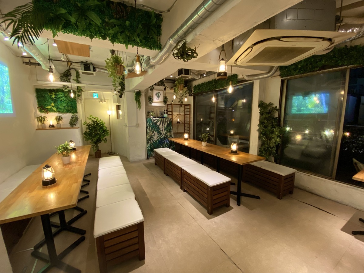 If you want to have a private class reunion in Shibuya, we recommend the Shibuya Garden Room! With a private terrace