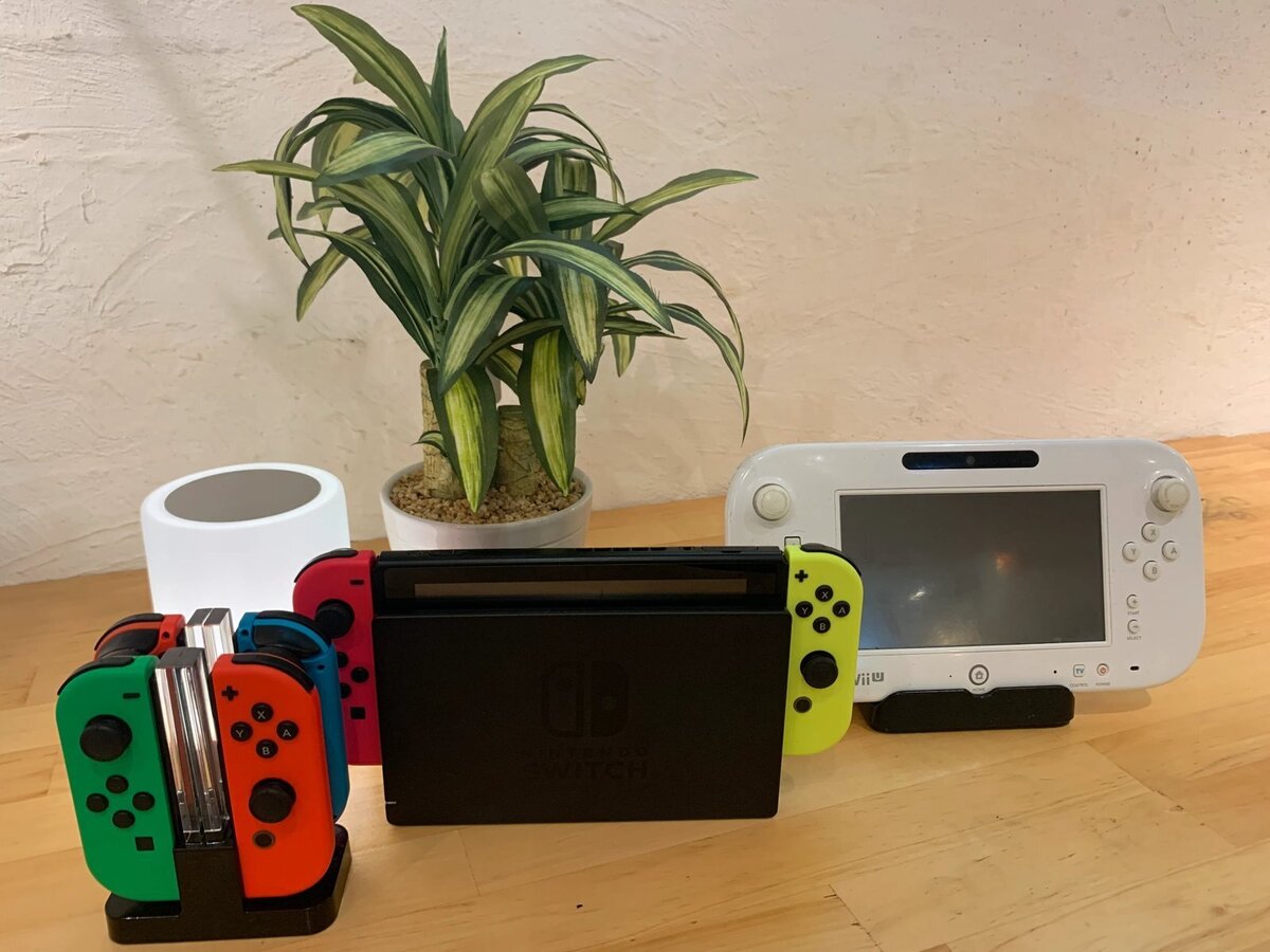 A photo showing a Nintendo Switch console, Joy-Cons, and a houseplant (a free option at Shibuya Pikarie).