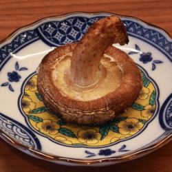みなみ産どんこしいたけ