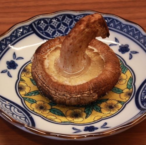 みなみ産どんこしいたけ