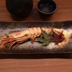 大海老