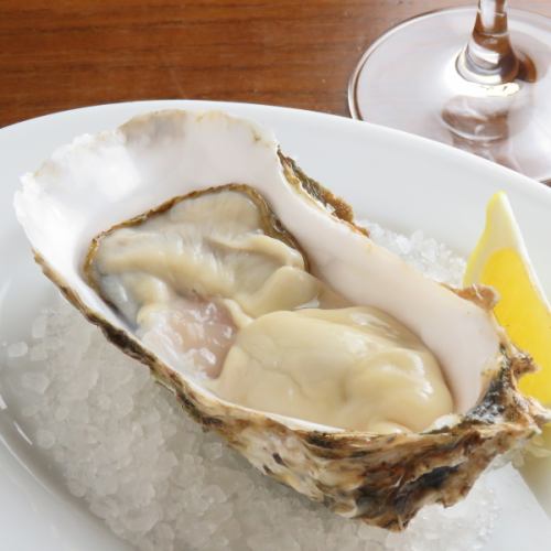 fresh raw oysters or steamed oysters