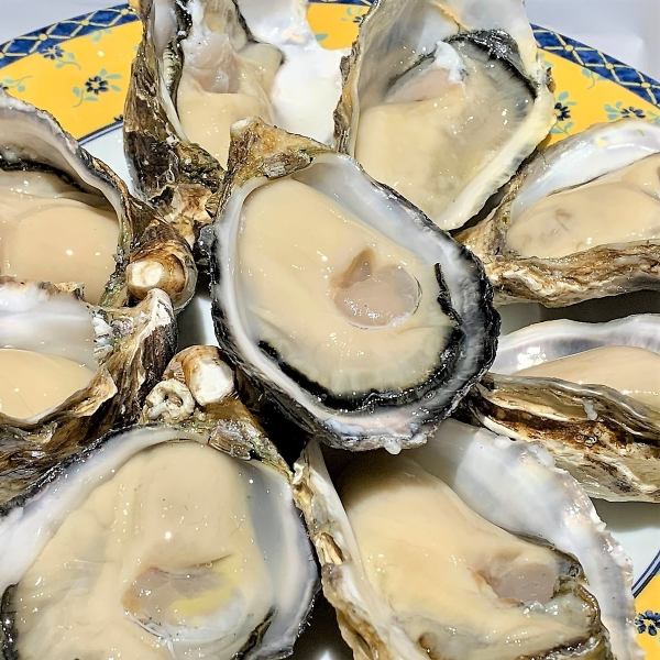 [Reservations only] "Oyster Samadhi Course (cooking only)" 5,000 yen◎Enjoy exquisite oysters! 7,000 yen with 2 hours of all-you-can-drink