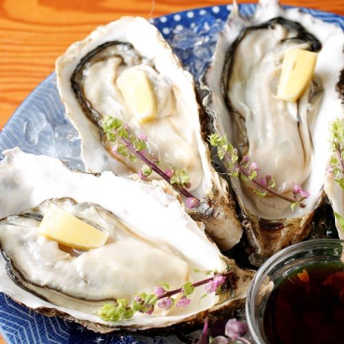 Enjoy large oysters