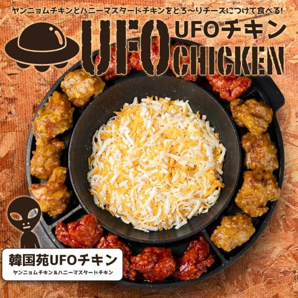 大人気UFOチキンに定番人気の韓国料理多数ご用意！