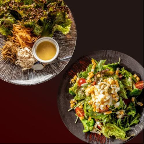 新鮮野菜を使った『映えるサラダ（野菜）たち』