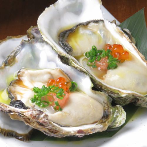 Raw oysters (November to March only)