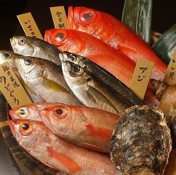 Hospitality with dishes using fresh fish and shellfish sent directly from Echizen Wakasa ♪